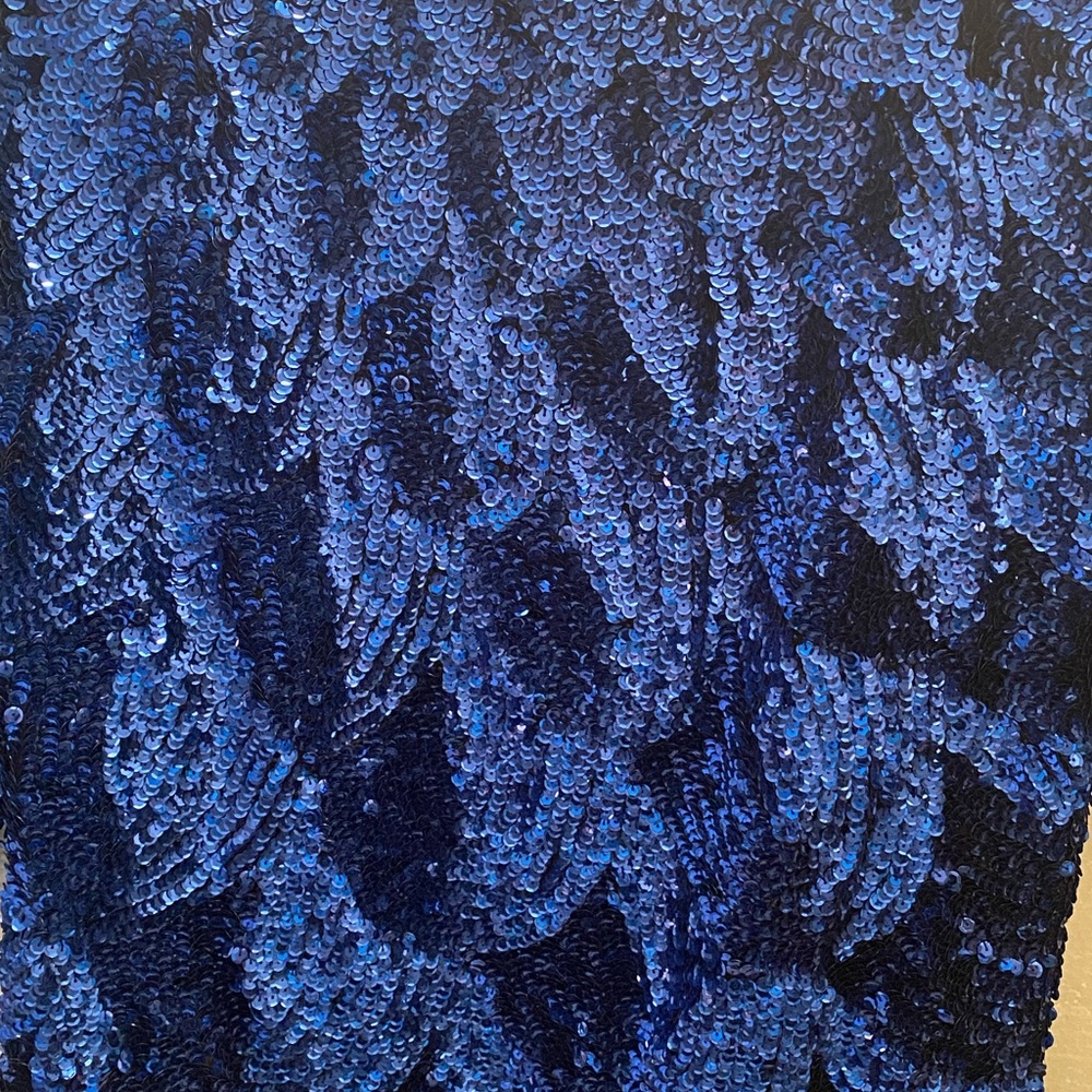 Beautiful, Brand New, Intricate, Sequined Top - Picture 6 of 12